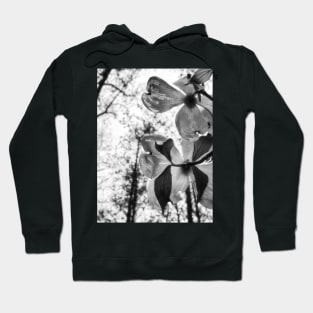 Rainy Day Blossoms Hoodie